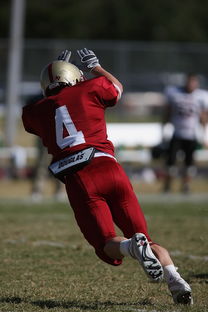 乐鱼体育-国王后场火力猛但防守端问题依旧，国王防守怎么样